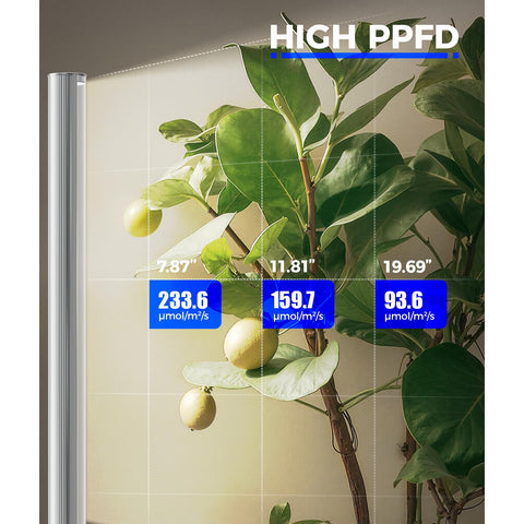 Barrina T1S full-spectrum LED delivers balanced light for healthy plant growth.
