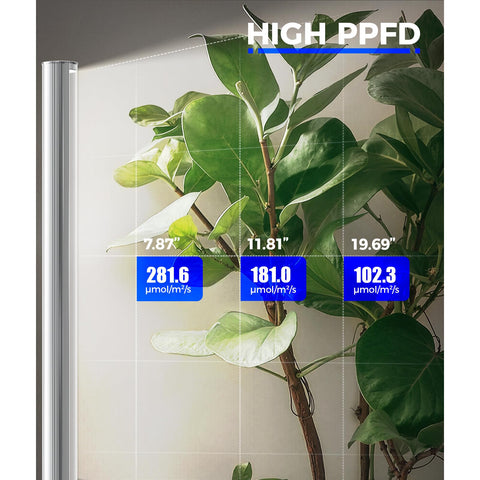 Barrina T1S full-spectrum plant light supports growth stages.