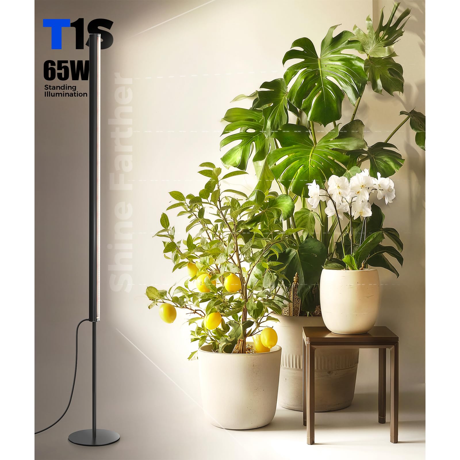 Barrina T1S high CRI 93 color rendering for accurate plant view