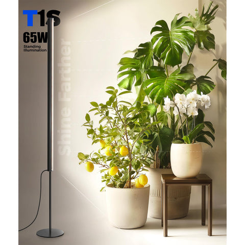 Barrina T1S high CRI 93 color rendering for accurate plant view