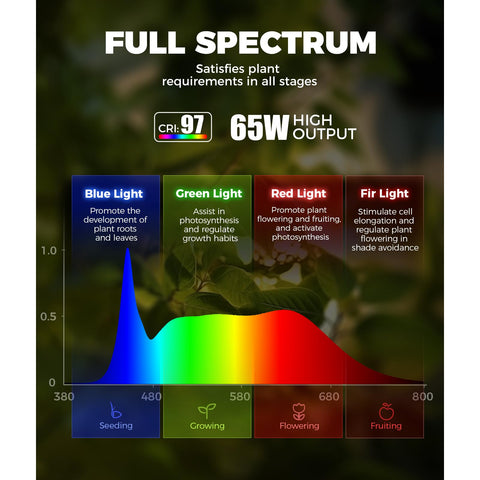Barrina T1S non-glare side illumination reduces eye strain.