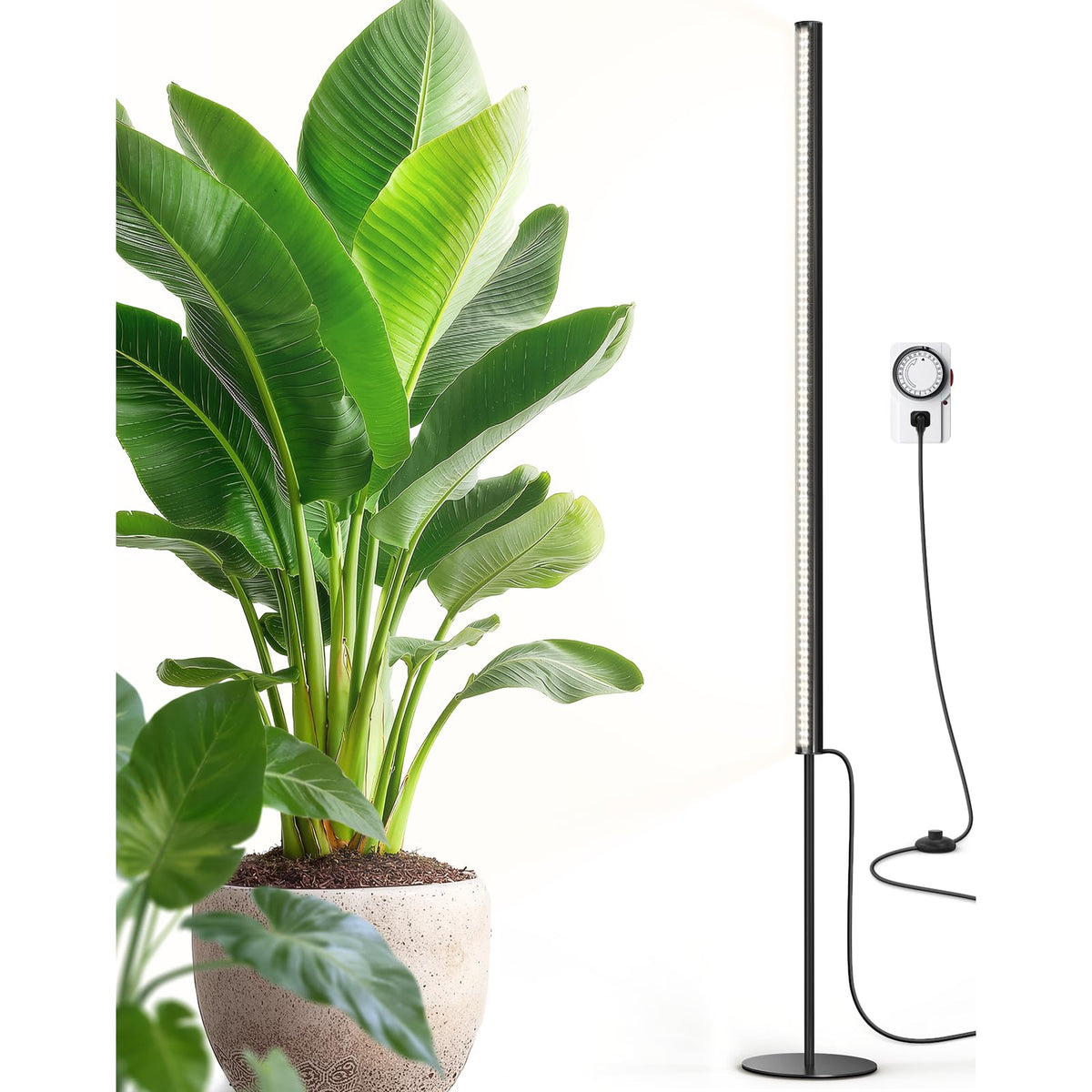 Barrina T1S standing grow light base shown for stable home use.