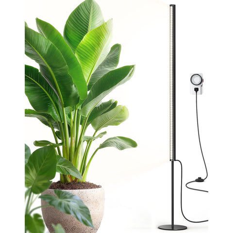 Barrina T1S standing grow light base shown for stable home use.