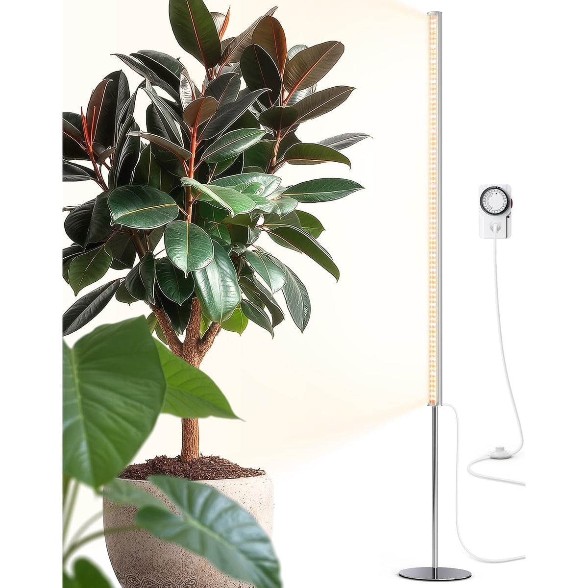 Barrina T1S standing grow light with timer for effortless indoor gardening control.