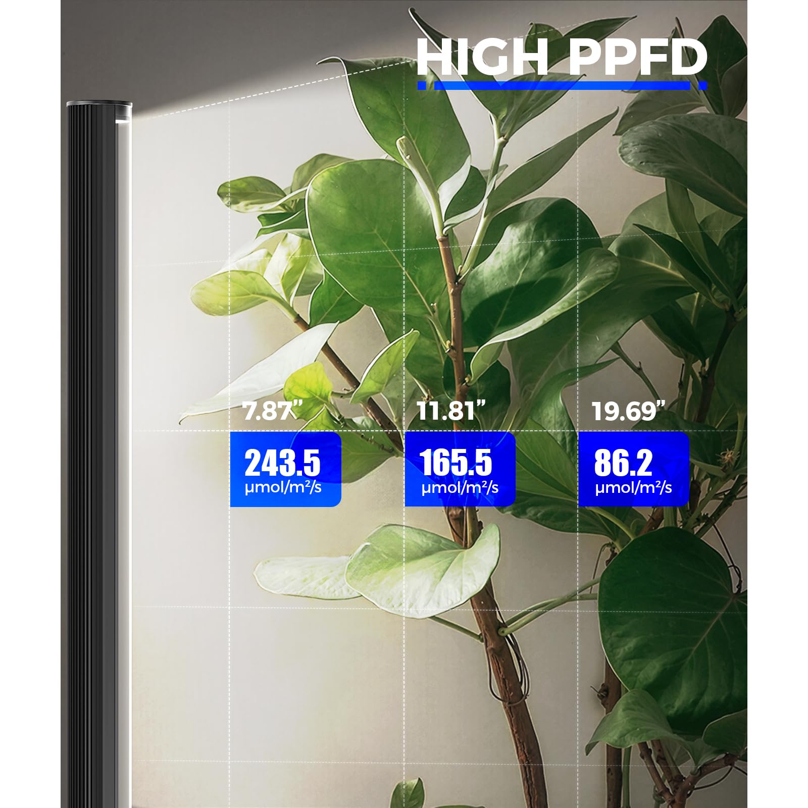 Barrina T1S timer panel demonstrates scheduling for plant care.