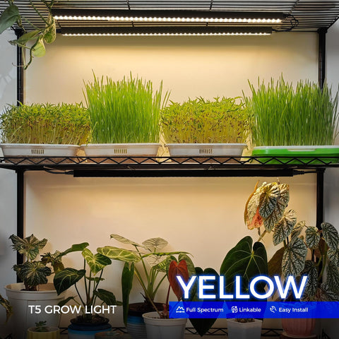 Barrina T5 2ft grow light strip side view suitable for compact indoor layouts