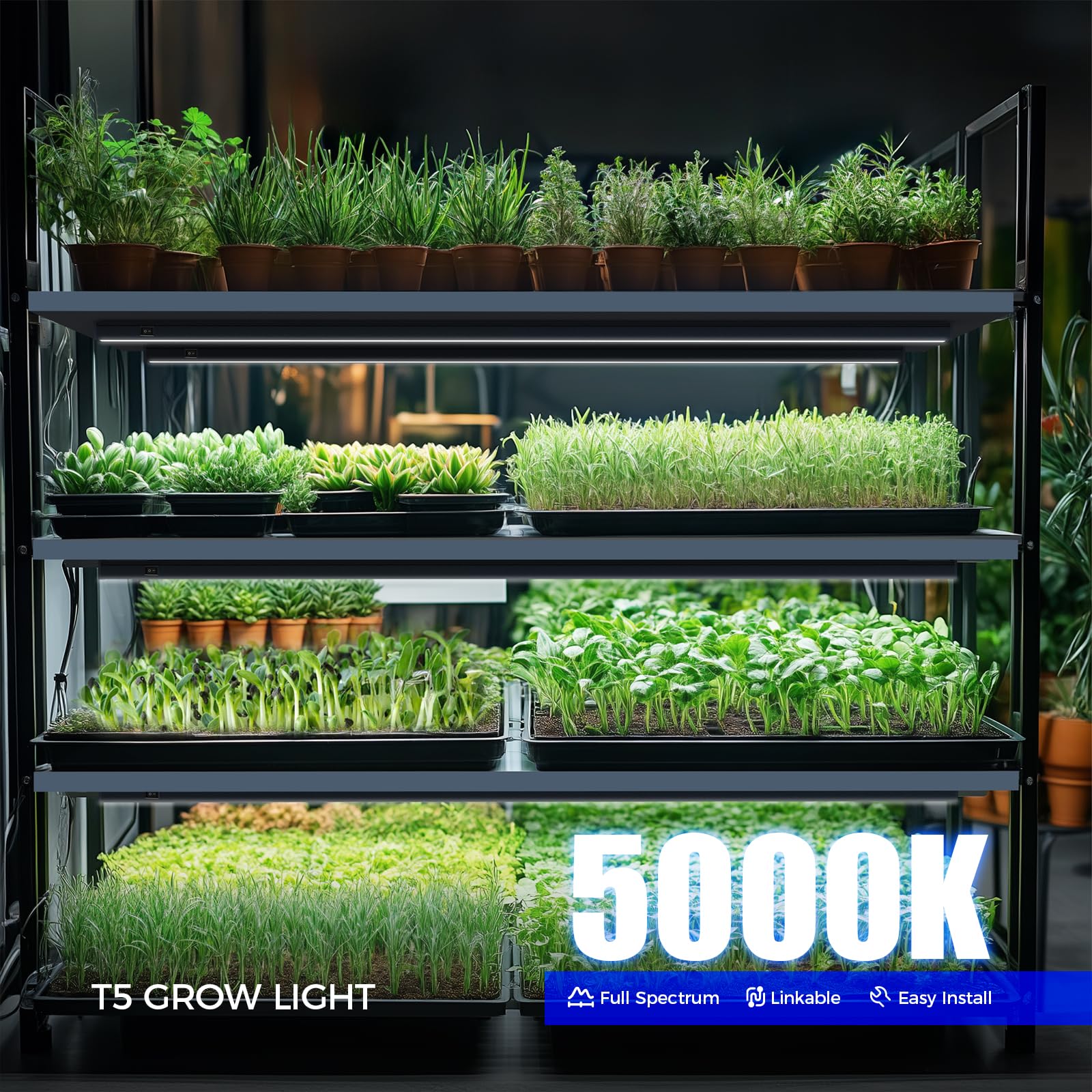 Barrina T5 full-spectrum 5000K grow light promotes balanced foliage in all growth stages.