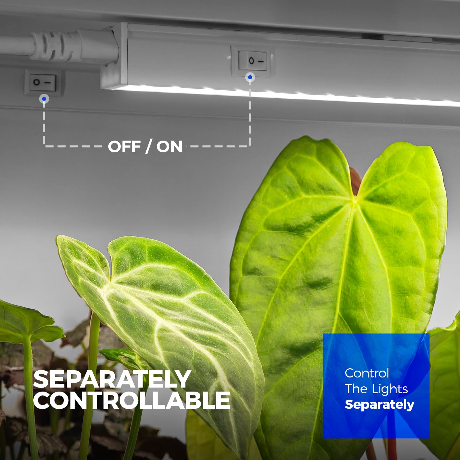 Barrina T5 lights link up to 16 units for scalable coverage.