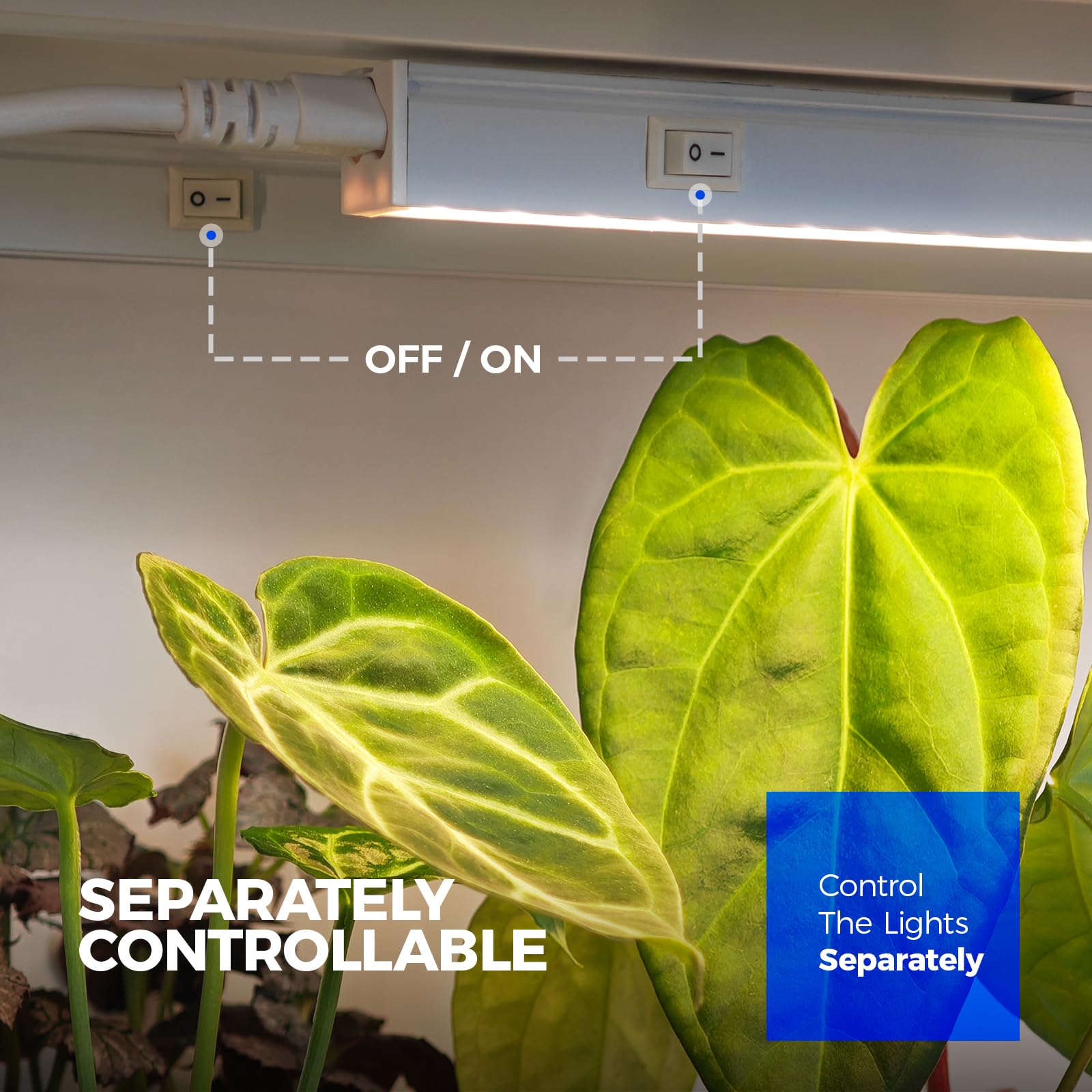 Barrina T5 grow light 4-pack LED array detail for even coverage