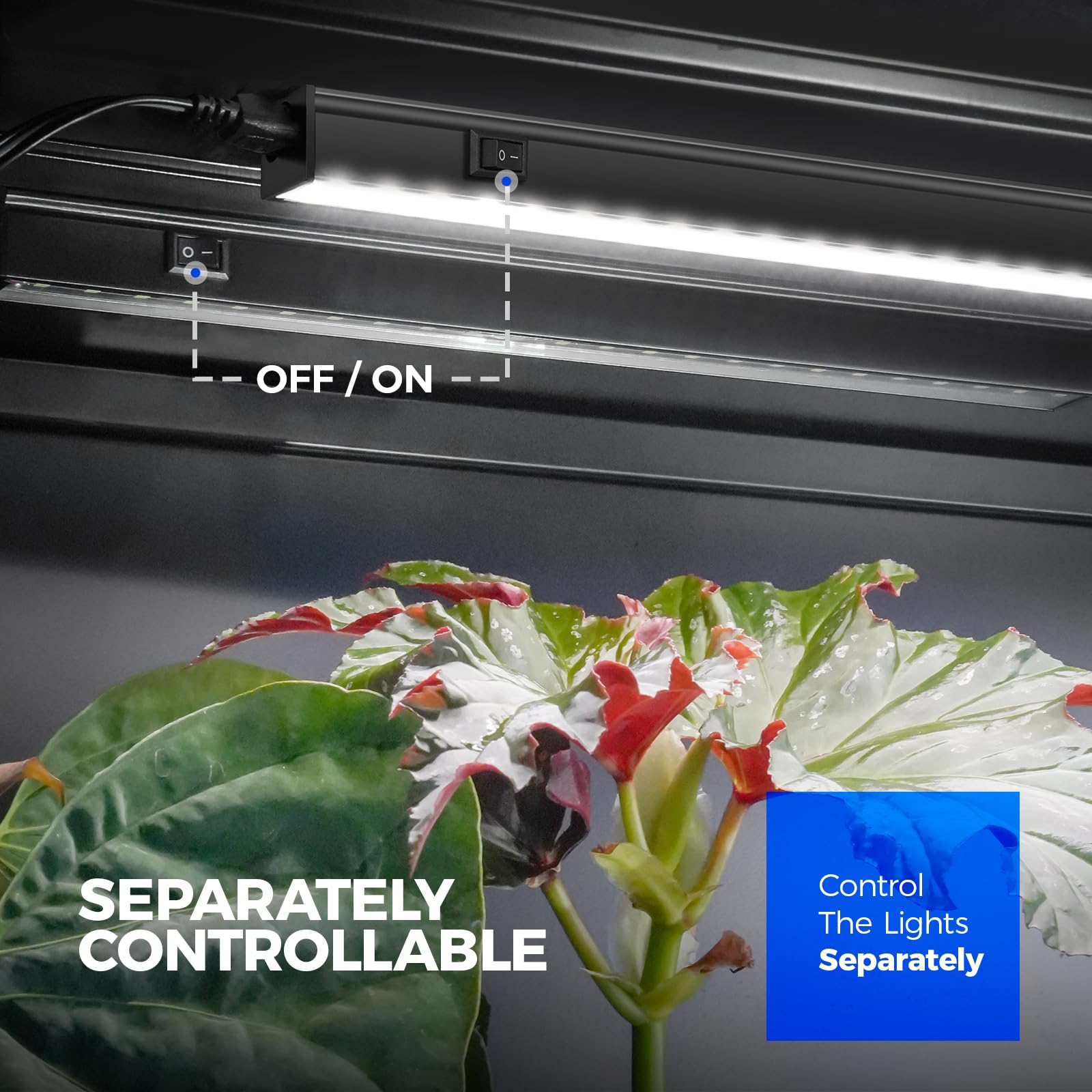 Barrina T5 4-pack LED provides energy-efficient lighting for seedlings