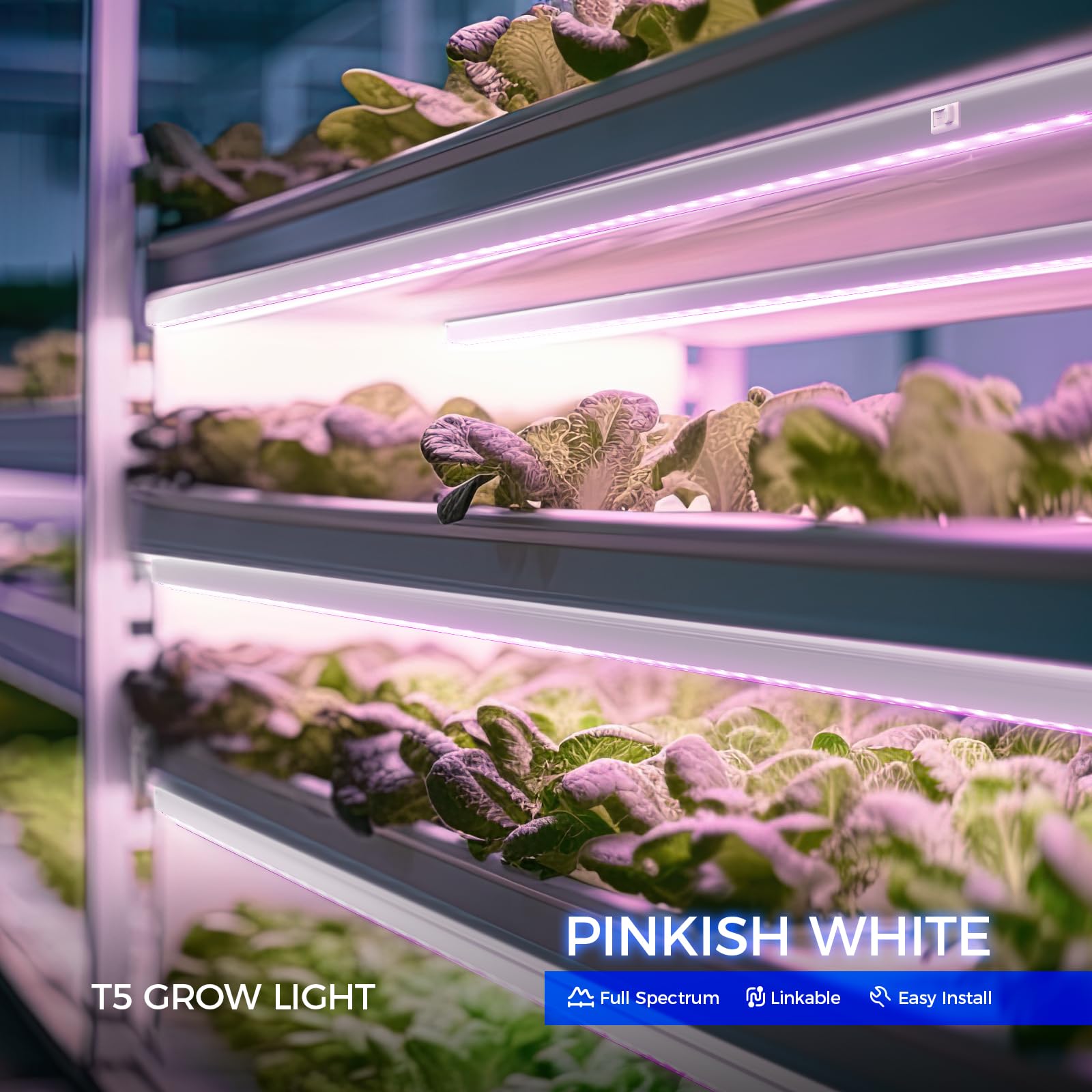 Barrina T5 grow light 8x16w LED setup with even coverage for shelves