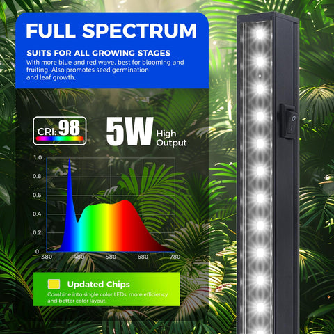 Barrina T5 full-spectrum 5000K lighting supports indoor plant growth