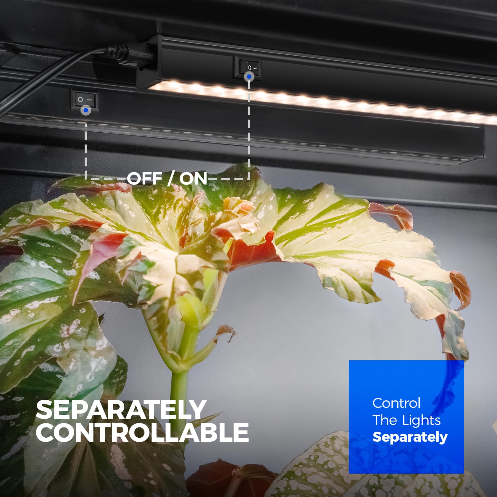 Barrina T5 linkable design supports up to 16 lights in series