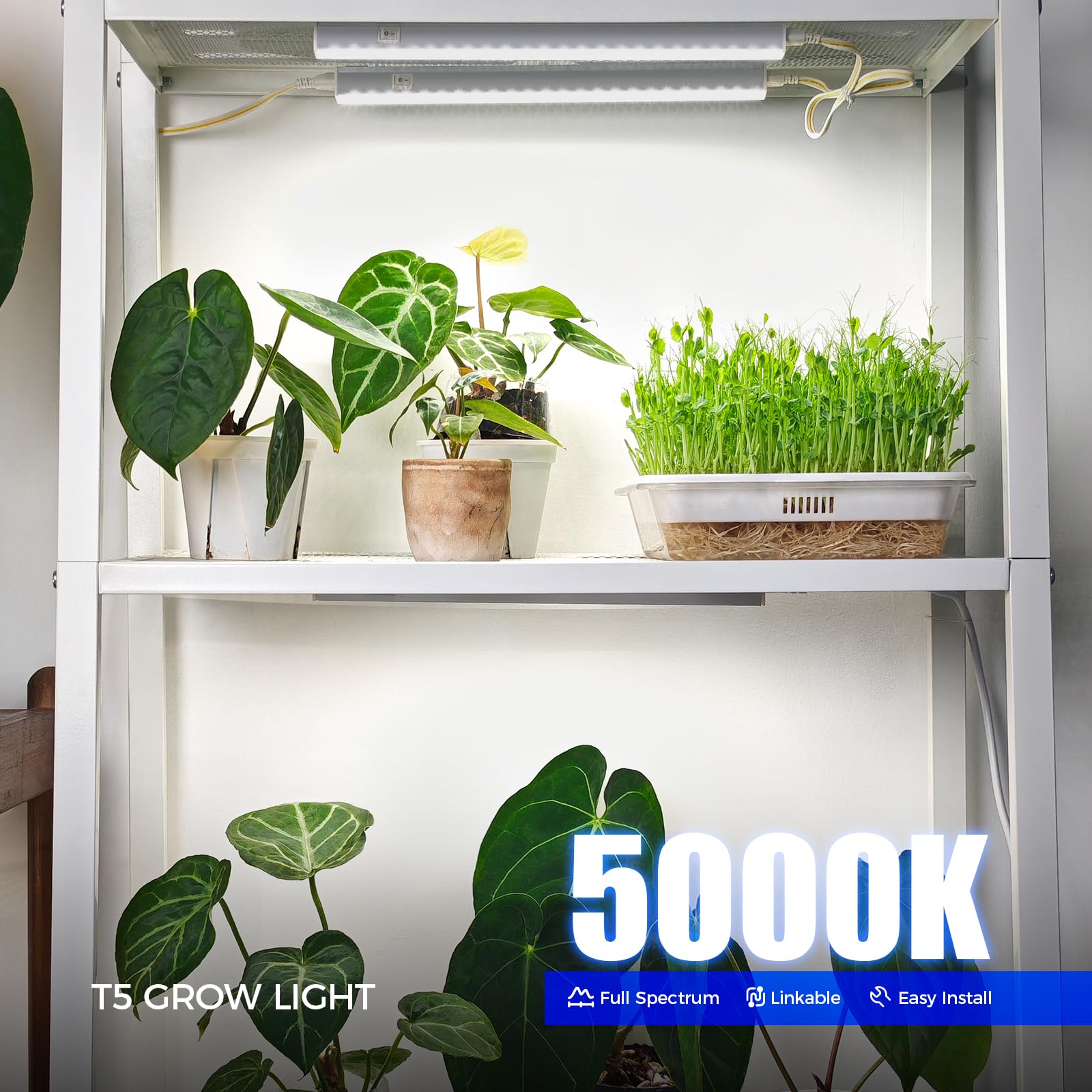Barrina T5 grow light installed for seedlings with bright 5000K output supporting early root development