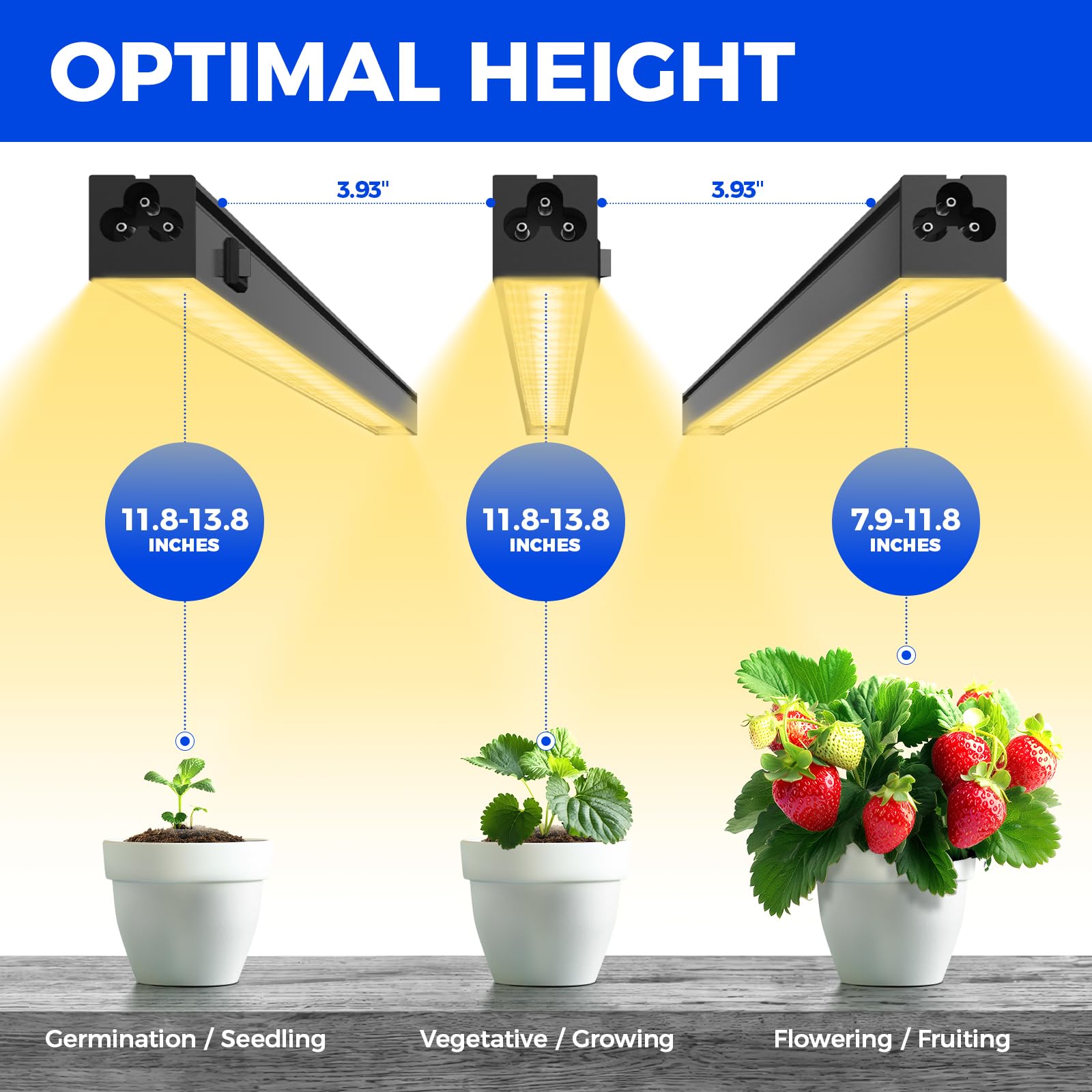 Barrina T5 separate on-off switches allow per-fixture control