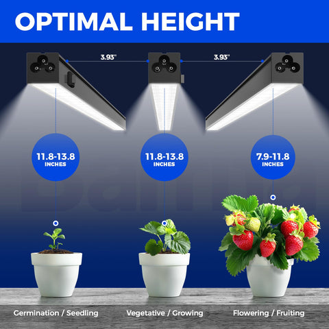 Barrina grow light's separate switches enable tailored lighting setups