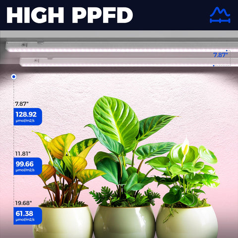 Barrina T5 Grow Lights 160W 960 LEDs for robust plant growth