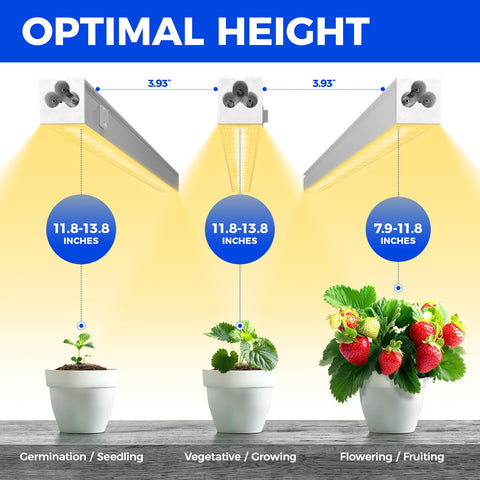Barrina T5 192‑LED array delivers strong light for robust vegetative growth