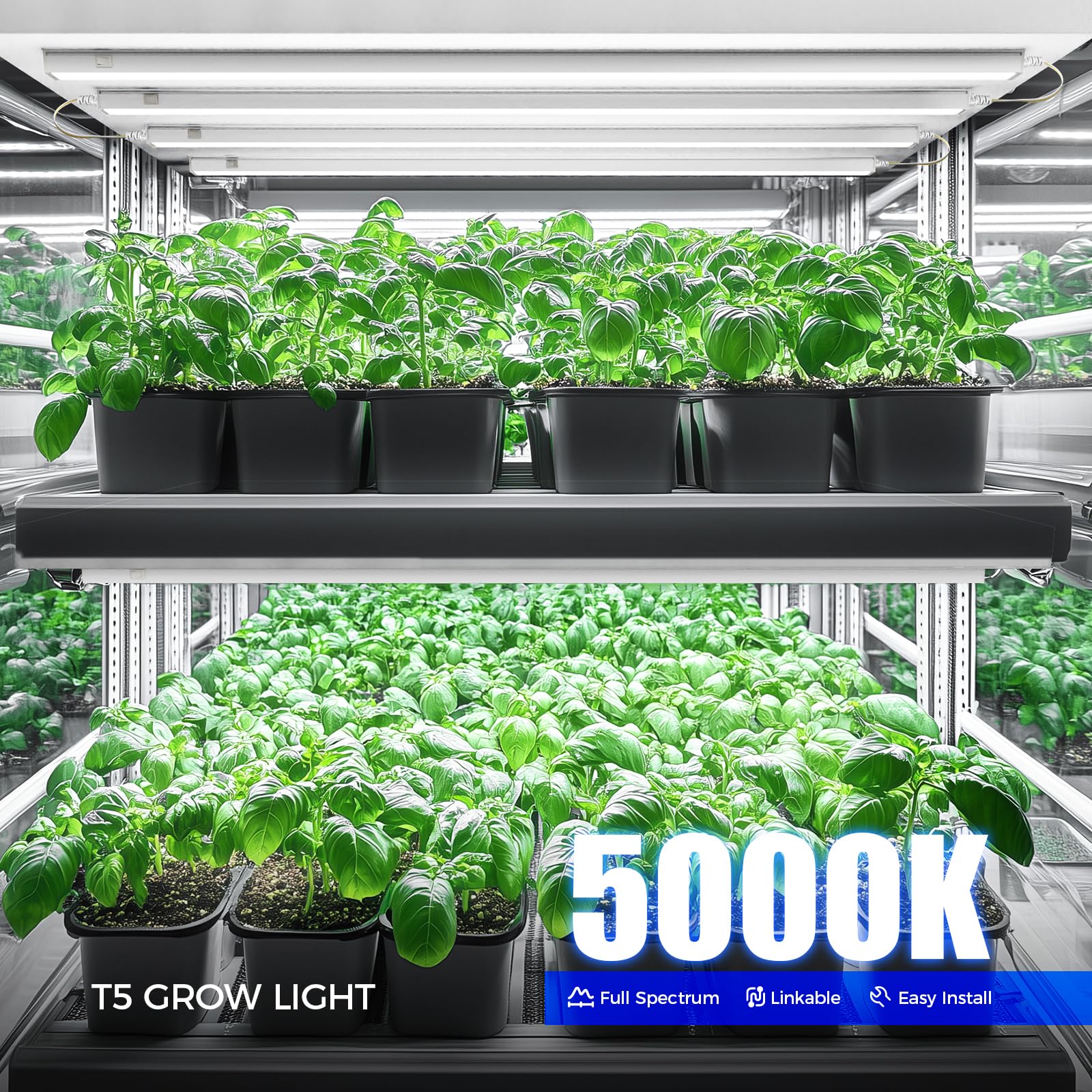 Barrina T5 grow lights 5000K full spectrum for seedlings