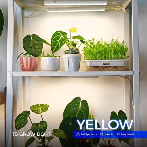 Barrina T5 grow lights full-spectrum yellow lights plants with balanced spectrum