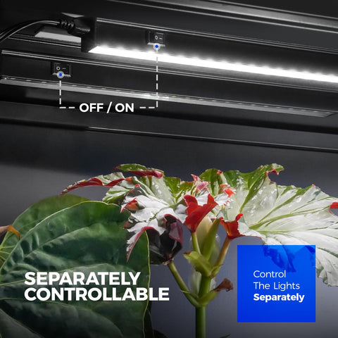 Barrina T5 linkable connectors illustrate easy expansion across bars.