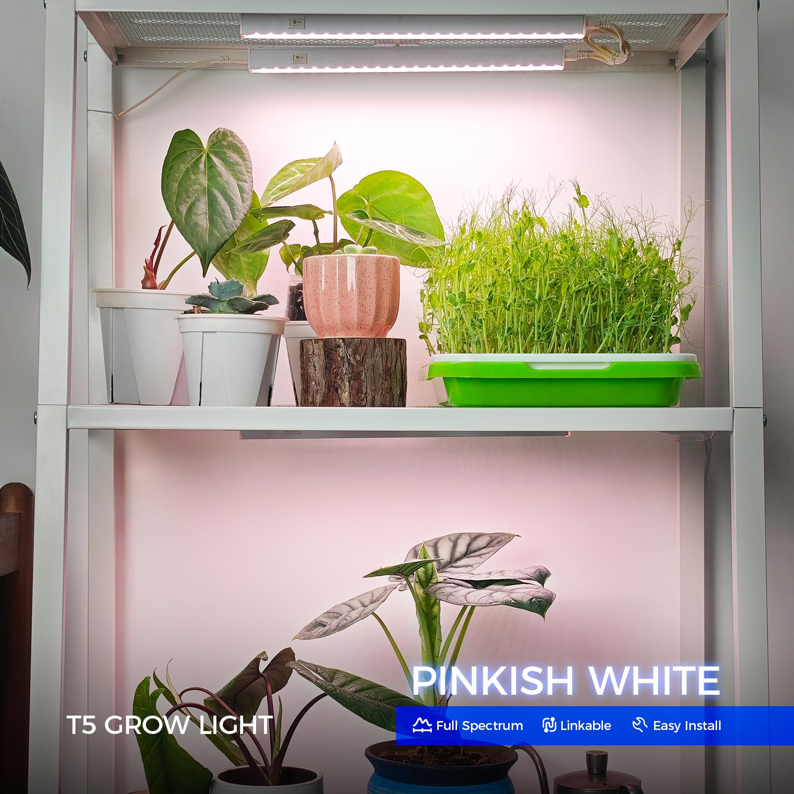 Barrina T5 Grow Lights over leafy plants demonstrating uniform coverage.