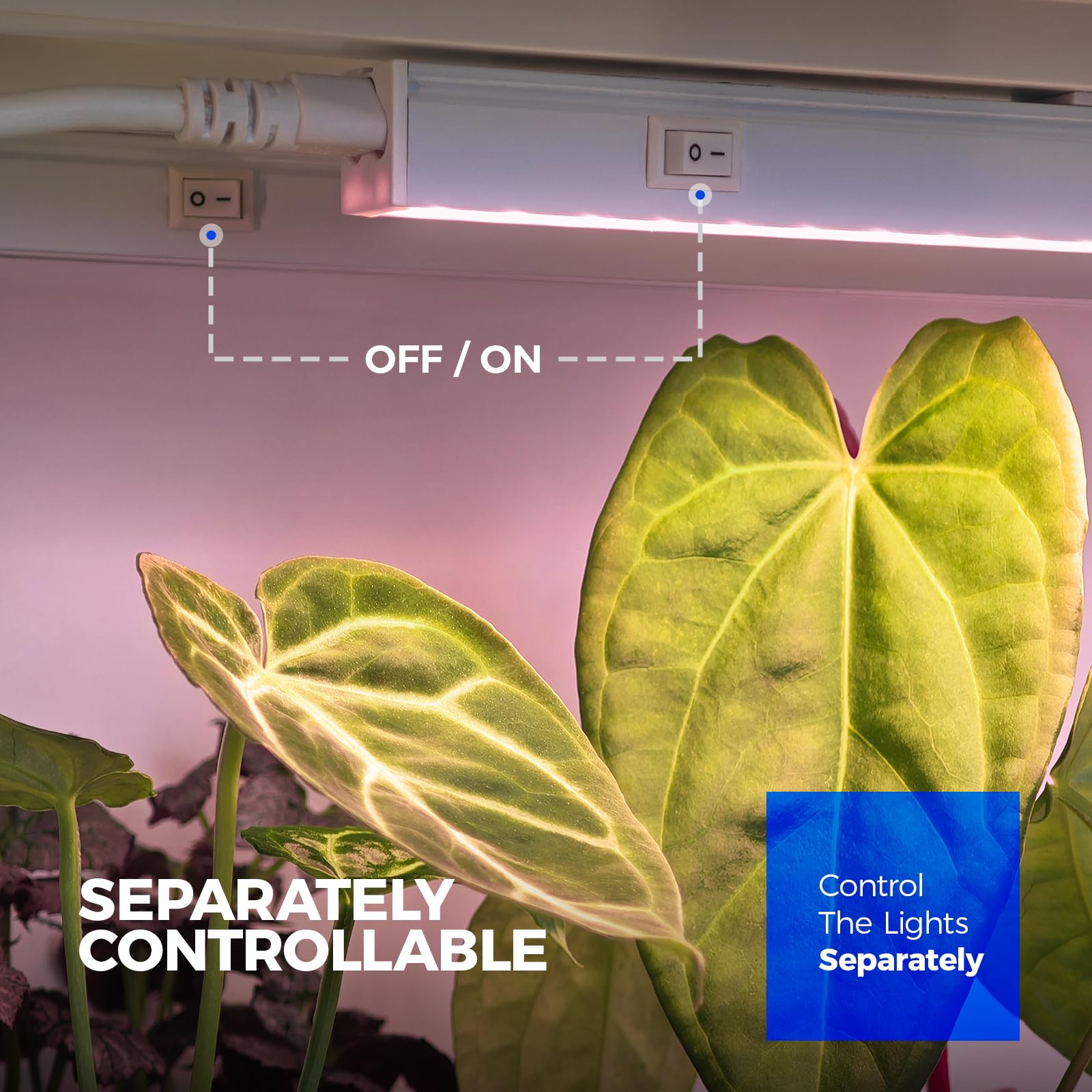 Barrina T5 Grow Lights plug-and-play setup with power cords.