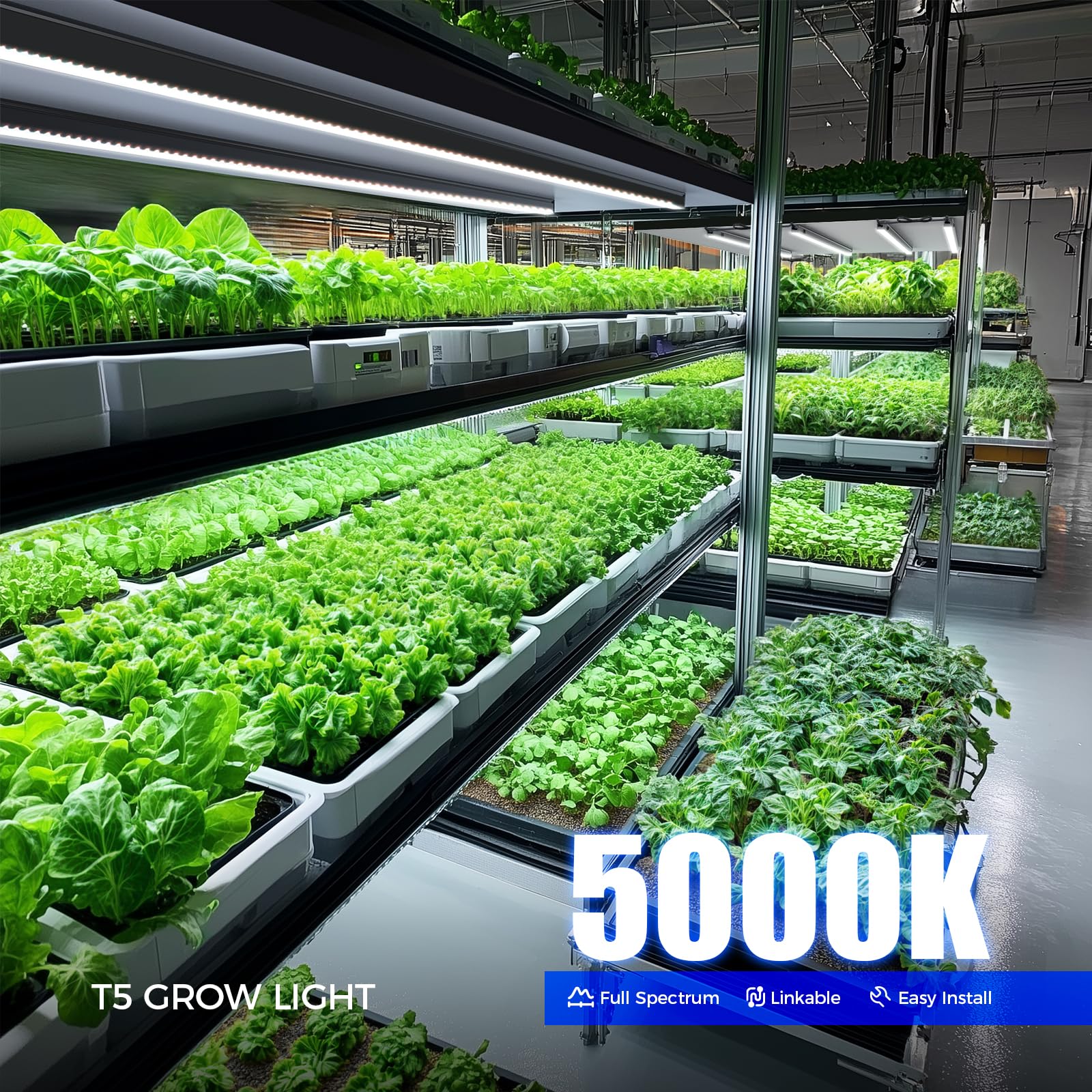 Barrina T5 LED strip with black cover to reduce glare and improve focus.