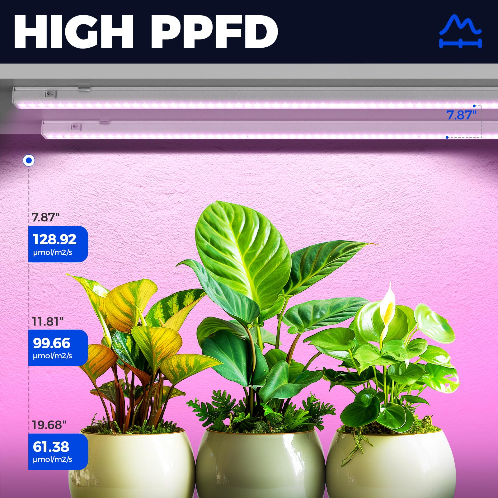 Barrina T5 light with 960 LEDs ensures strong PPFD for vegetative growth.