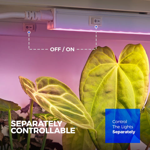 Barrina T5 fixture with on/off switch allows independent control per unit.