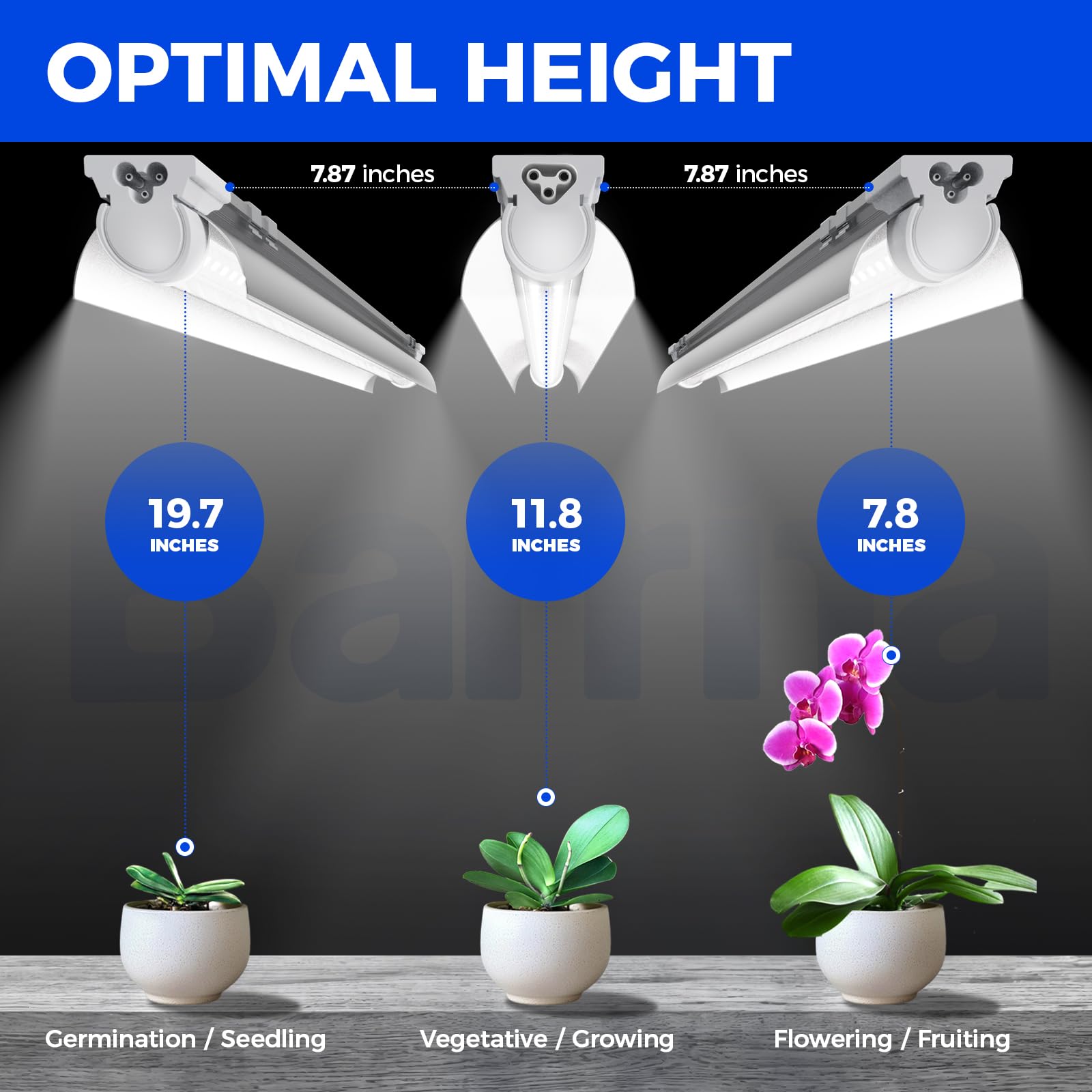 Barrina T8 lights powered and ready in a 60W setup for indoor gardens