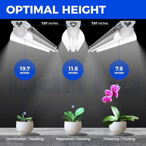 Barrina T8 lights powered and ready in a 60W setup for indoor gardens