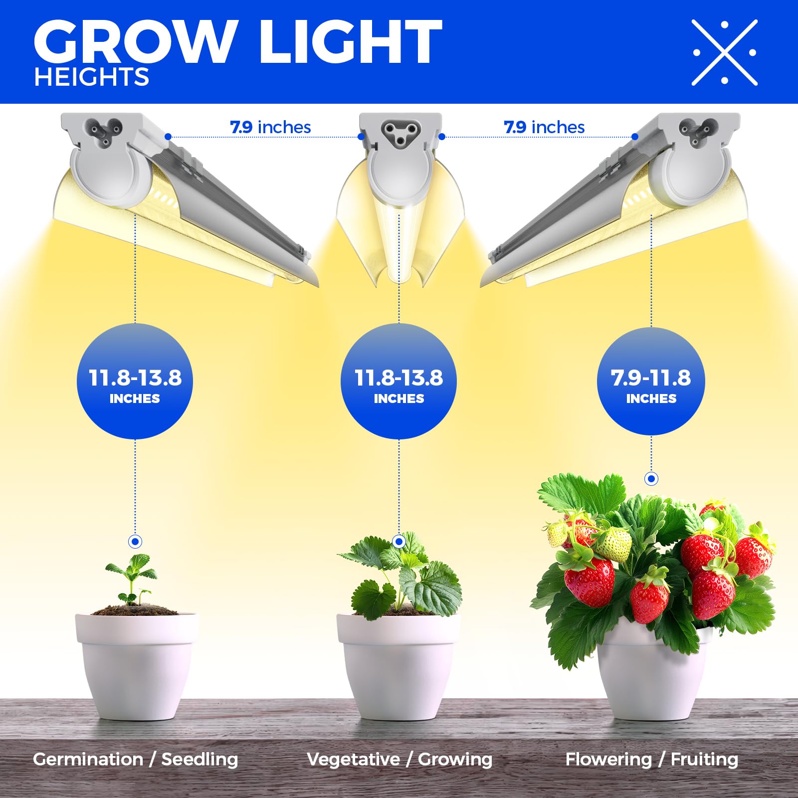 Barrina T8 brightness and performance in a small grow space
