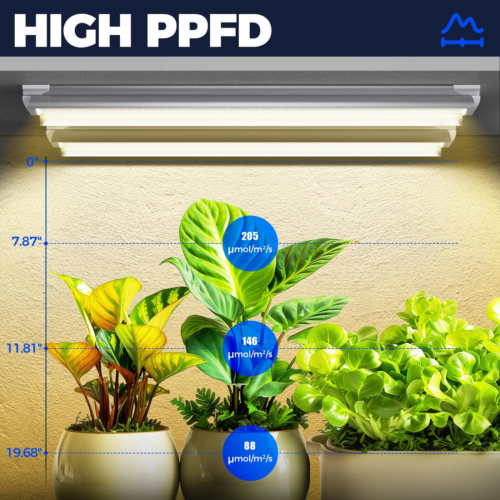 Barrina T8 full-spectrum light enhances indoor seedlings and leafy plants