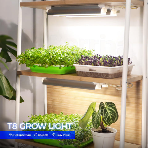 Barrina 4-pack grow lights ready for multiple zones in a home garden