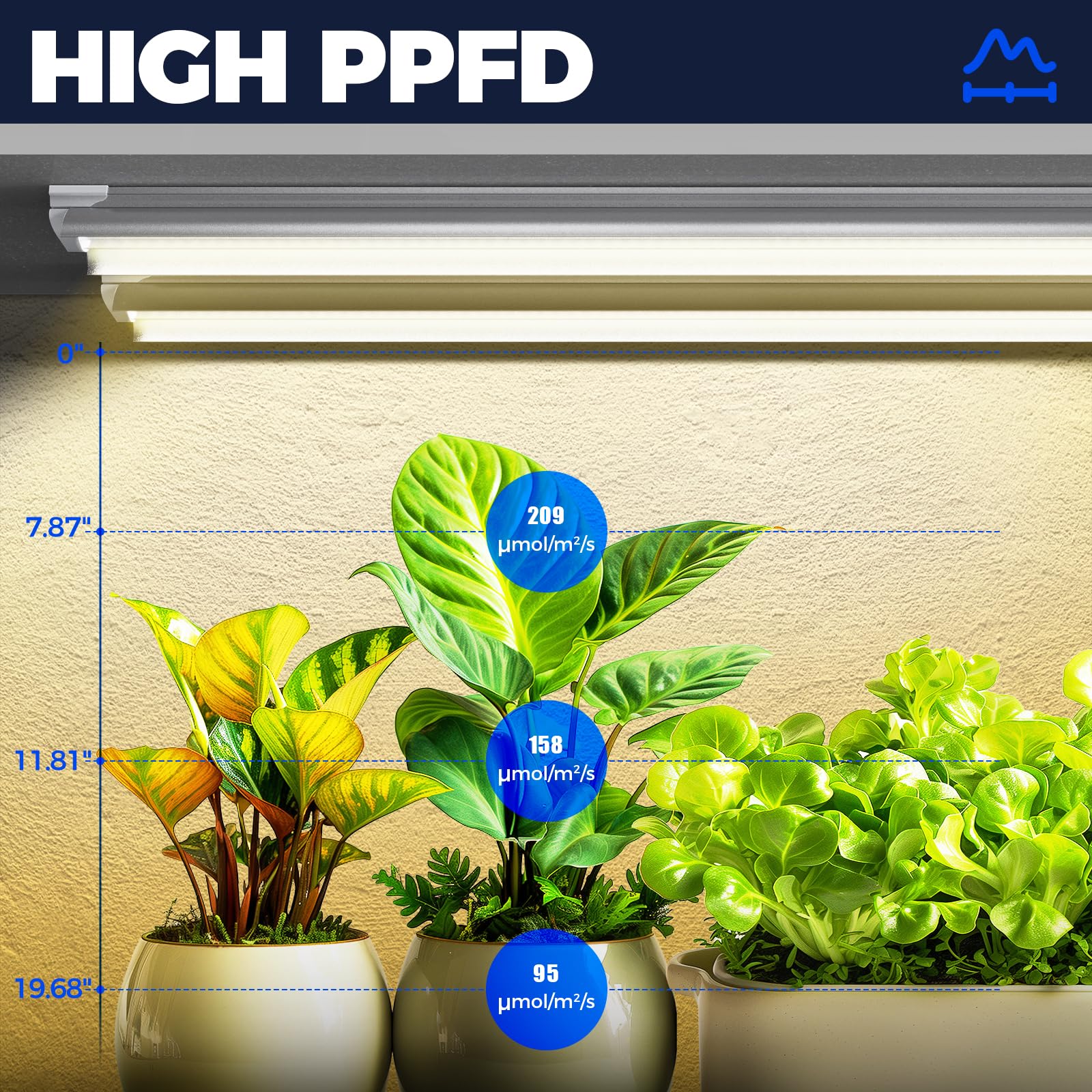 Barrina T8 full-spectrum LED panel supports robust indoor plant growth