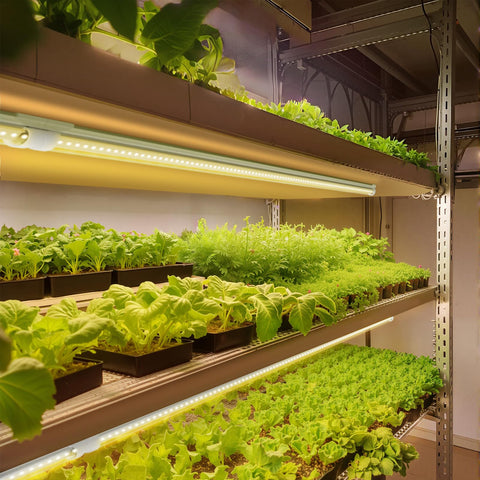 Barrina T8 grow light with reflector boosts efficiency