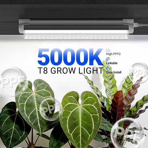 Barrina LEDs close-up showing 192 chips delivering bright, efficient, full-spectrum light