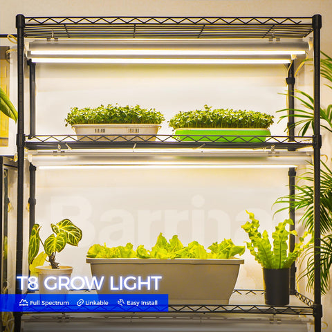 Barrina LED grow light showing 1000W-equivalent coverage on plant shelves.