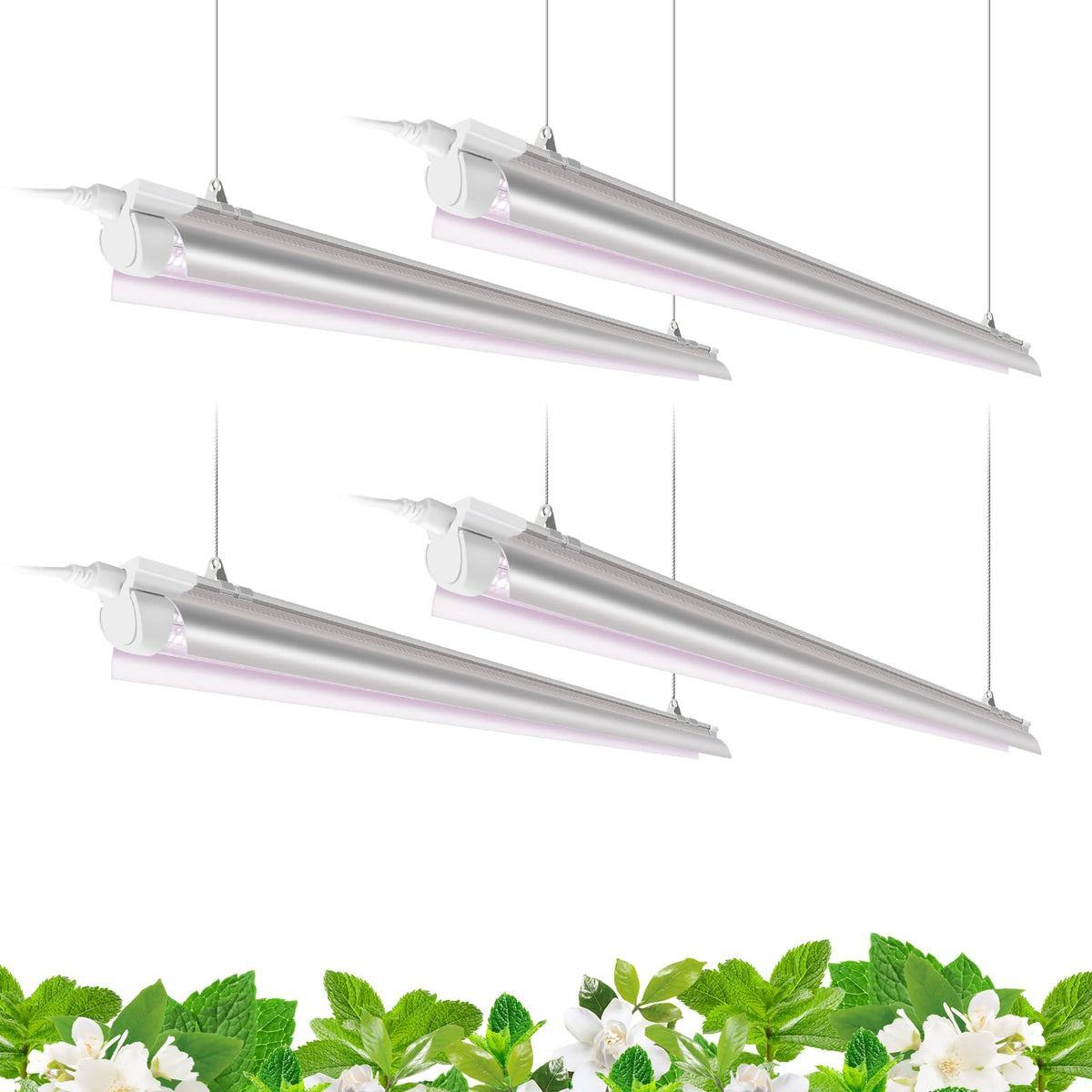 Barrina T8 LED Grow Light 4FT packaging for indoor gardening setups.