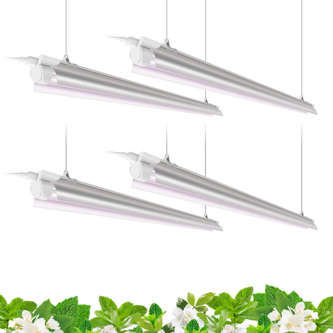 Barrina T8 LED Grow Light 4FT packaging for indoor gardening setups.