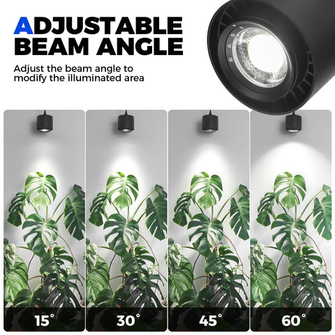 Barrina TR40 with adjustable beam angles for targeted plant lighting