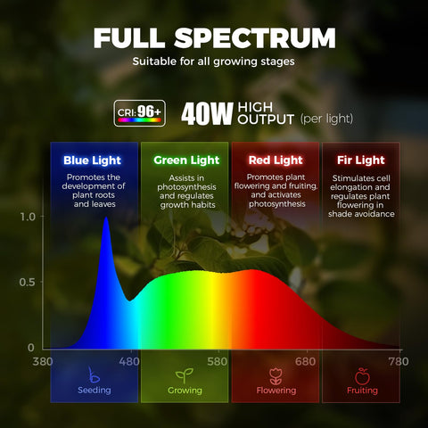 Barrina TR40 5000K full spectrum with high CRI for natural colors