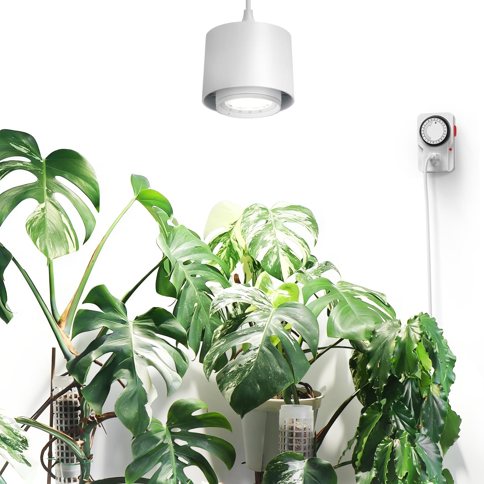 Barrina TR40 hanging light with 15° beam for focused seedling growth