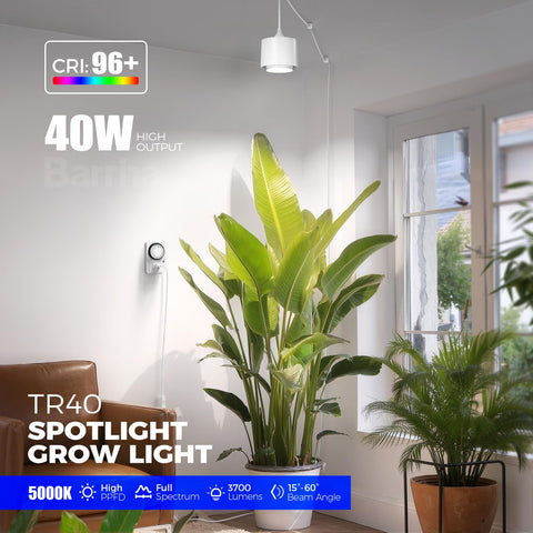 Barrina TR40 with 30° beam angle for small plant clusters