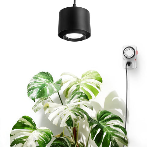 Barrina TR40 hanging grow light product shot showing compact indoor-use design