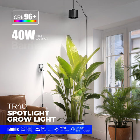 Barrina TR40 hung with extra-long cord for flexible placement in any room