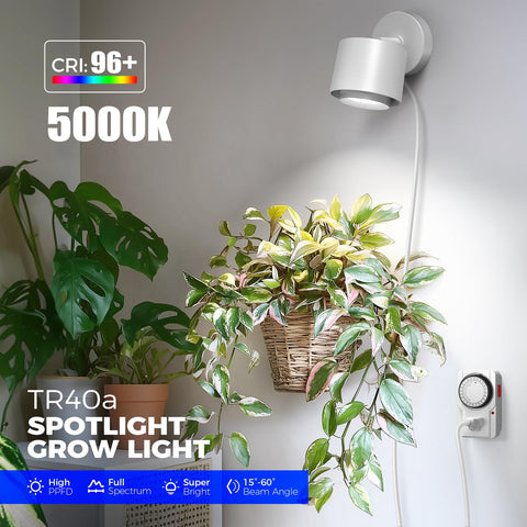 Barrina TR40a 5000K full-spectrum light supports healthy growth across plant stages.