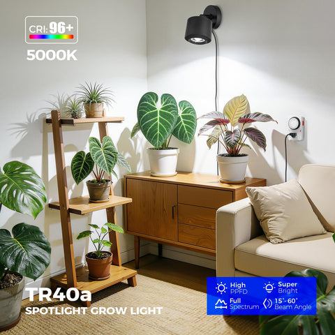 Barrina TR40a 5000K white light for crisp indoor growth