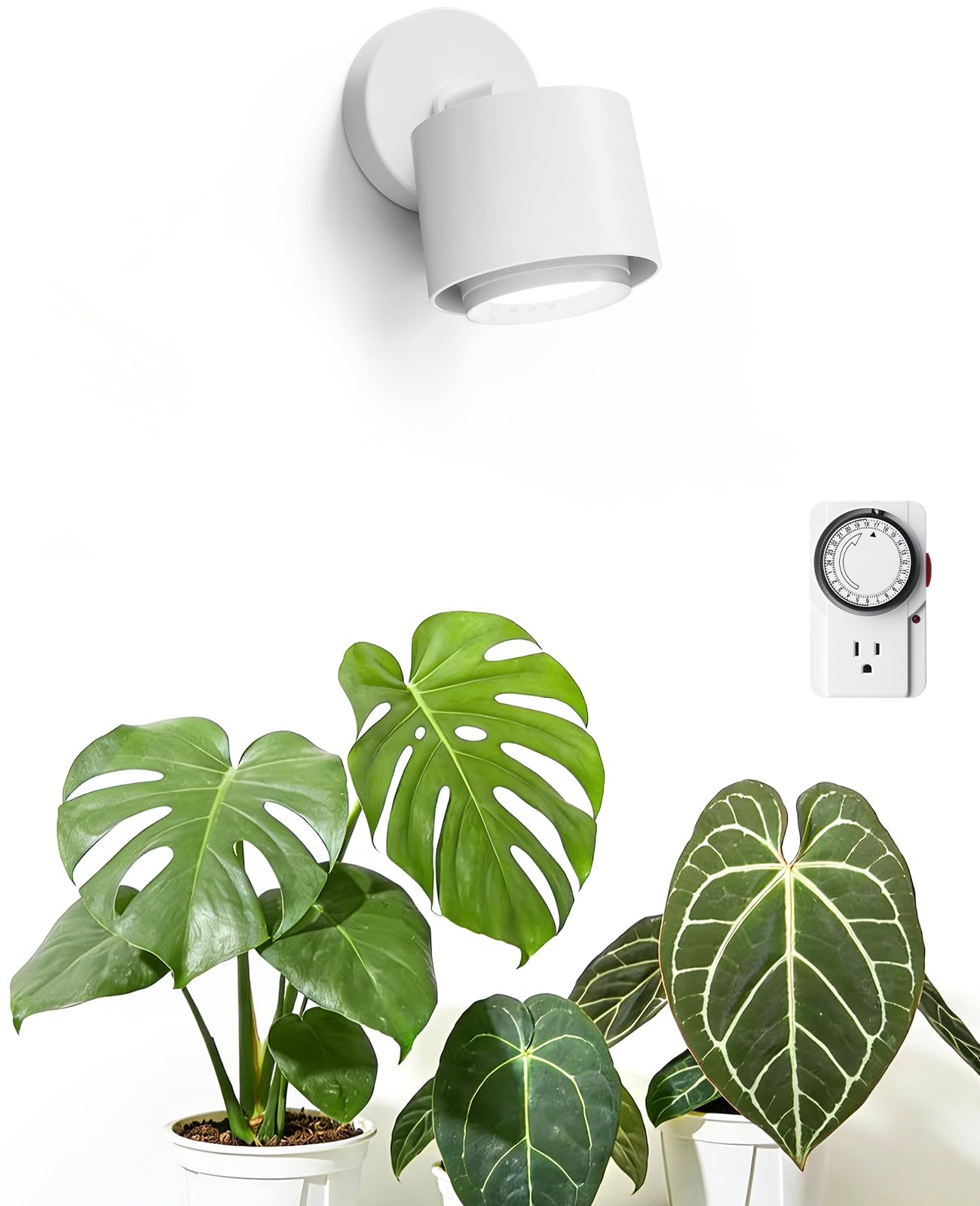 Barrina TR40a wall-mount setup for targeted plant lighting in tight spaces.